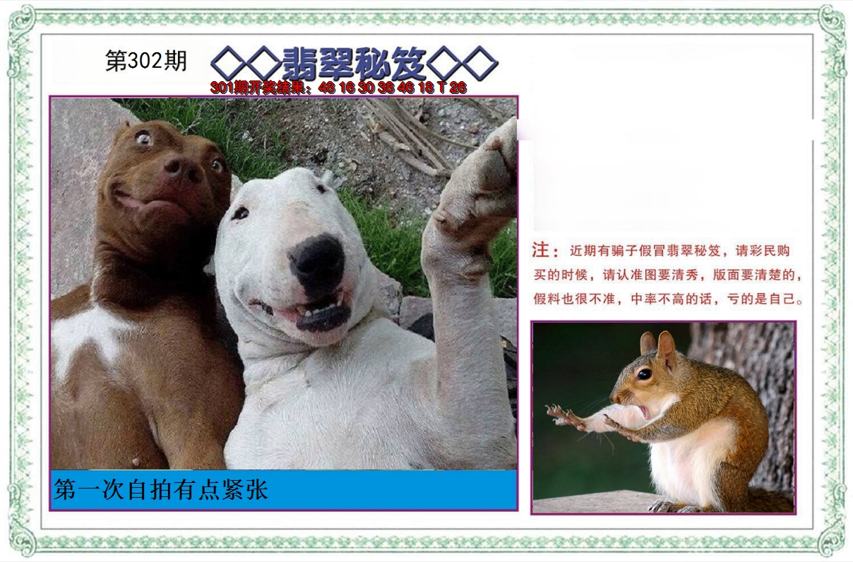 2024302期翡翠秘笈
