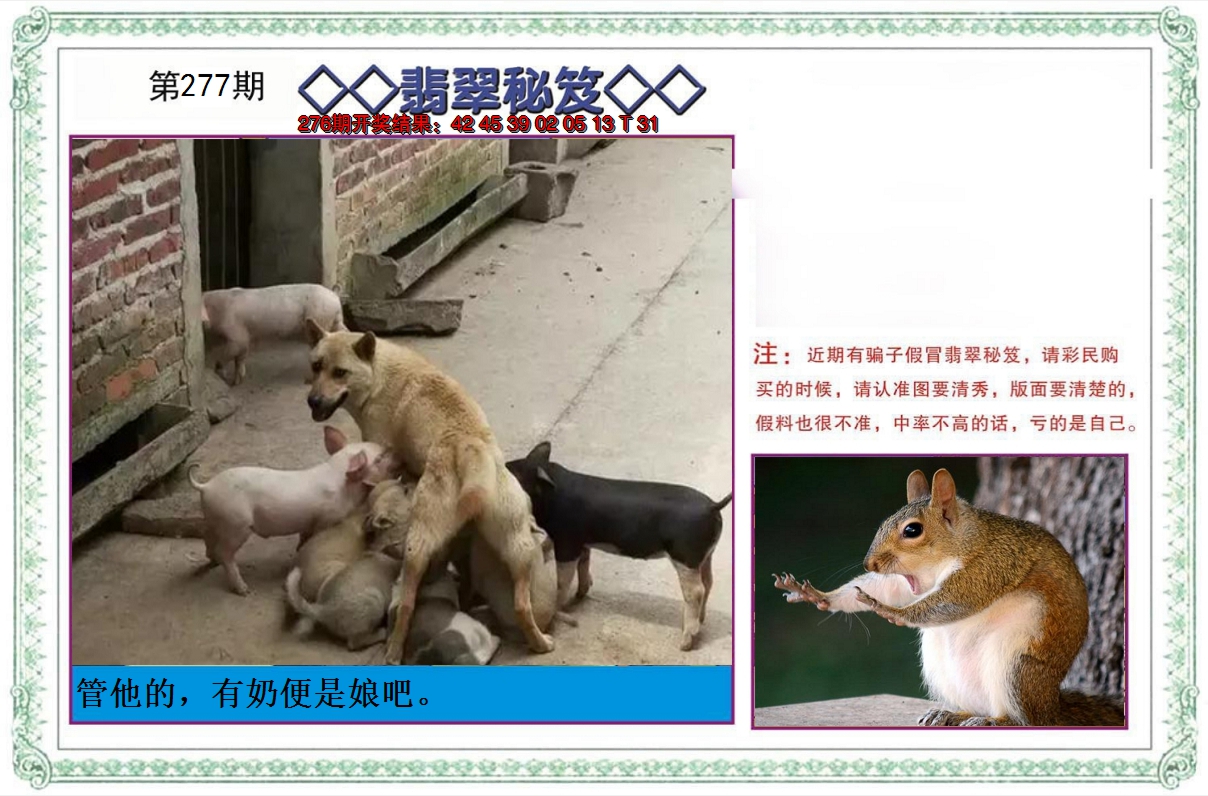 2024277期翡翠秘笈