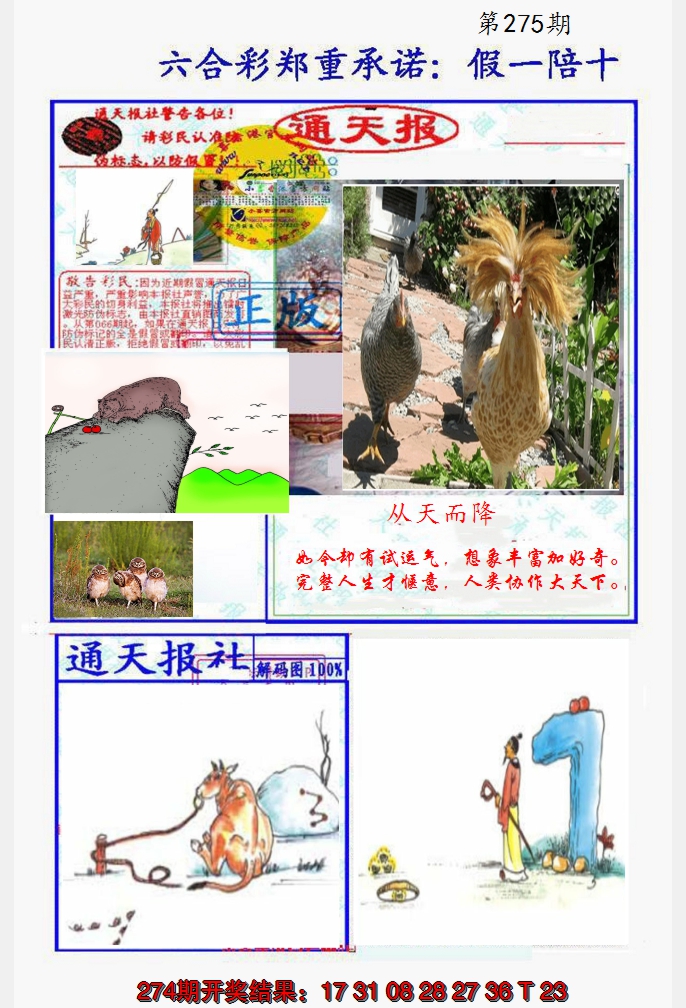 2024275期假一陪十通天报