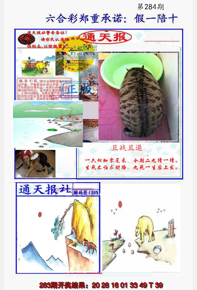 2024284期假一陪十通天报