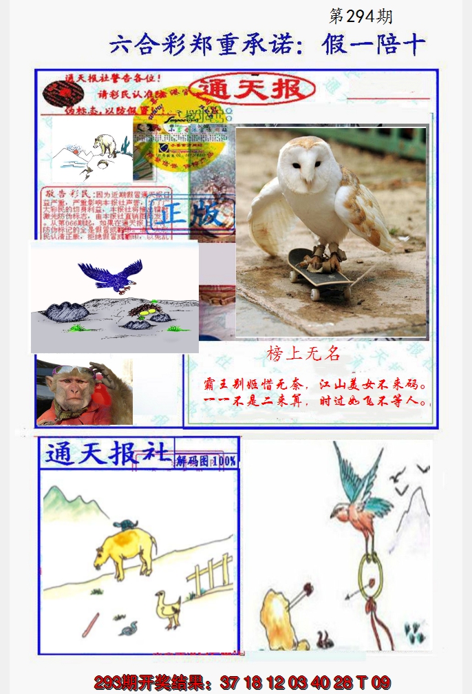 2024294期假一陪十通天报