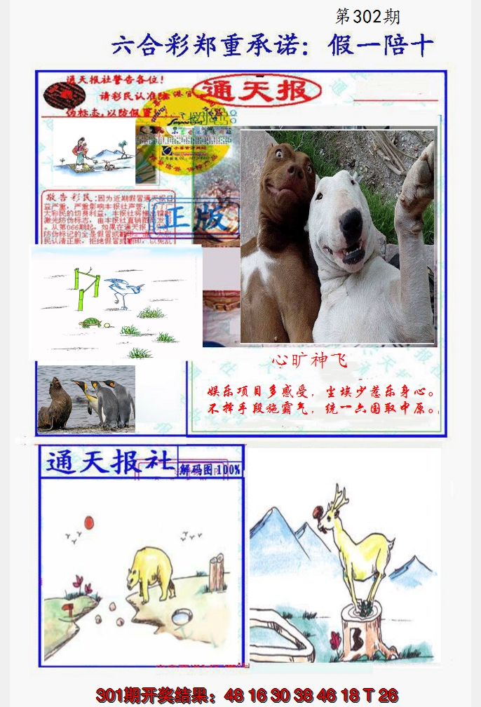 2024302期假一陪十通天报