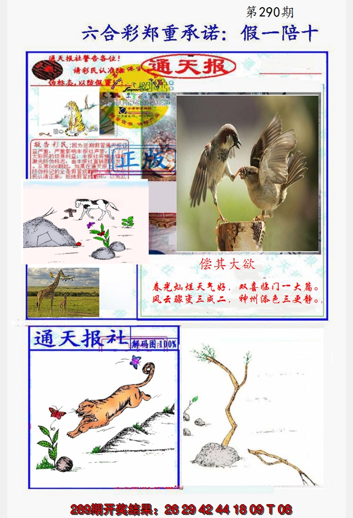 2024290期假一陪十通天报