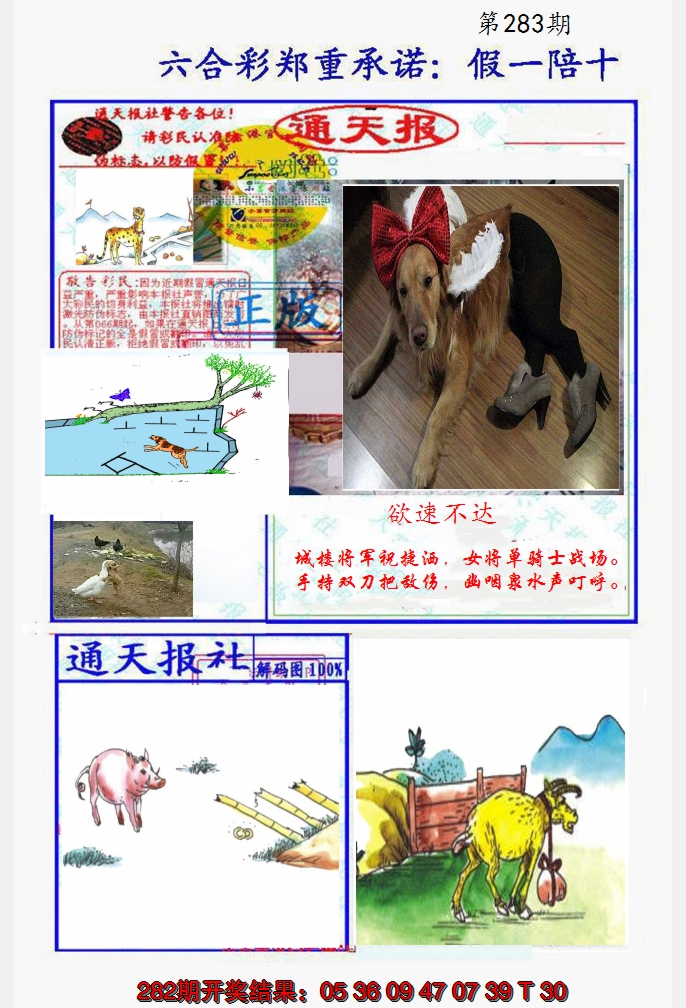 2024283期假一陪十通天报