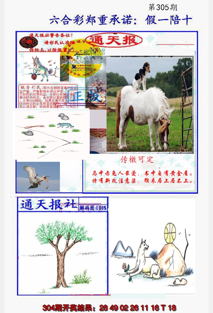 2024305期假一陪十通天报