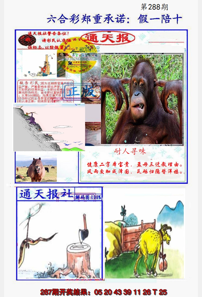 2024288期假一陪十通天报
