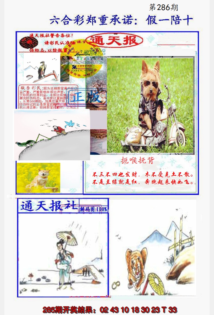2024286期假一陪十通天报