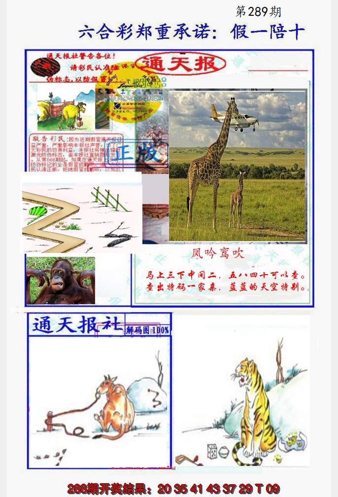 2024289期假一陪十通天报