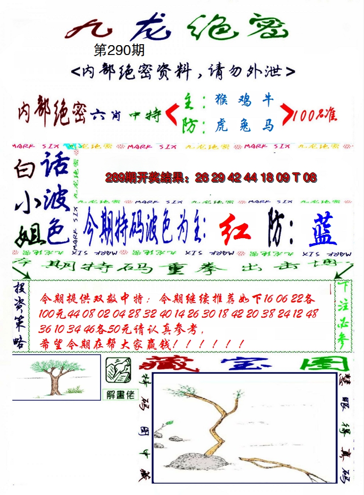 2024290期九龙密报
