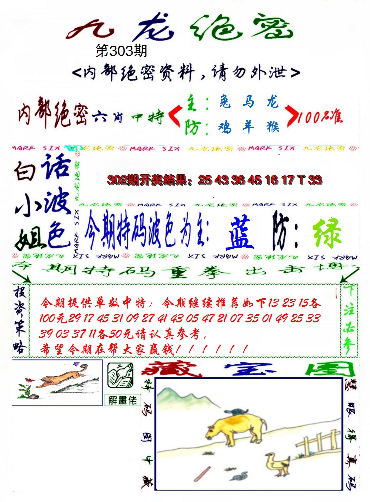2024303期九龙密报