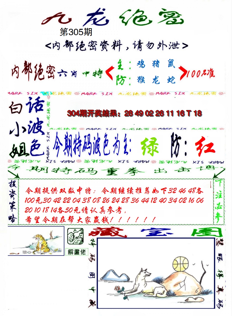 2024305期九龙密报