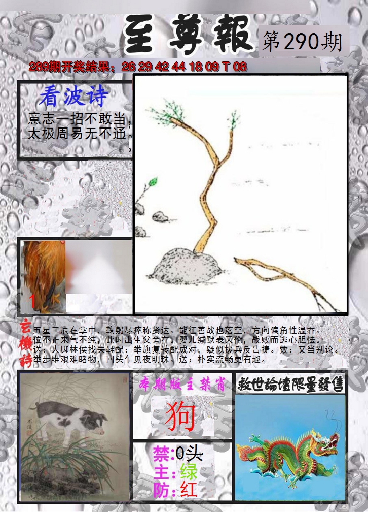 2024290期至尊报