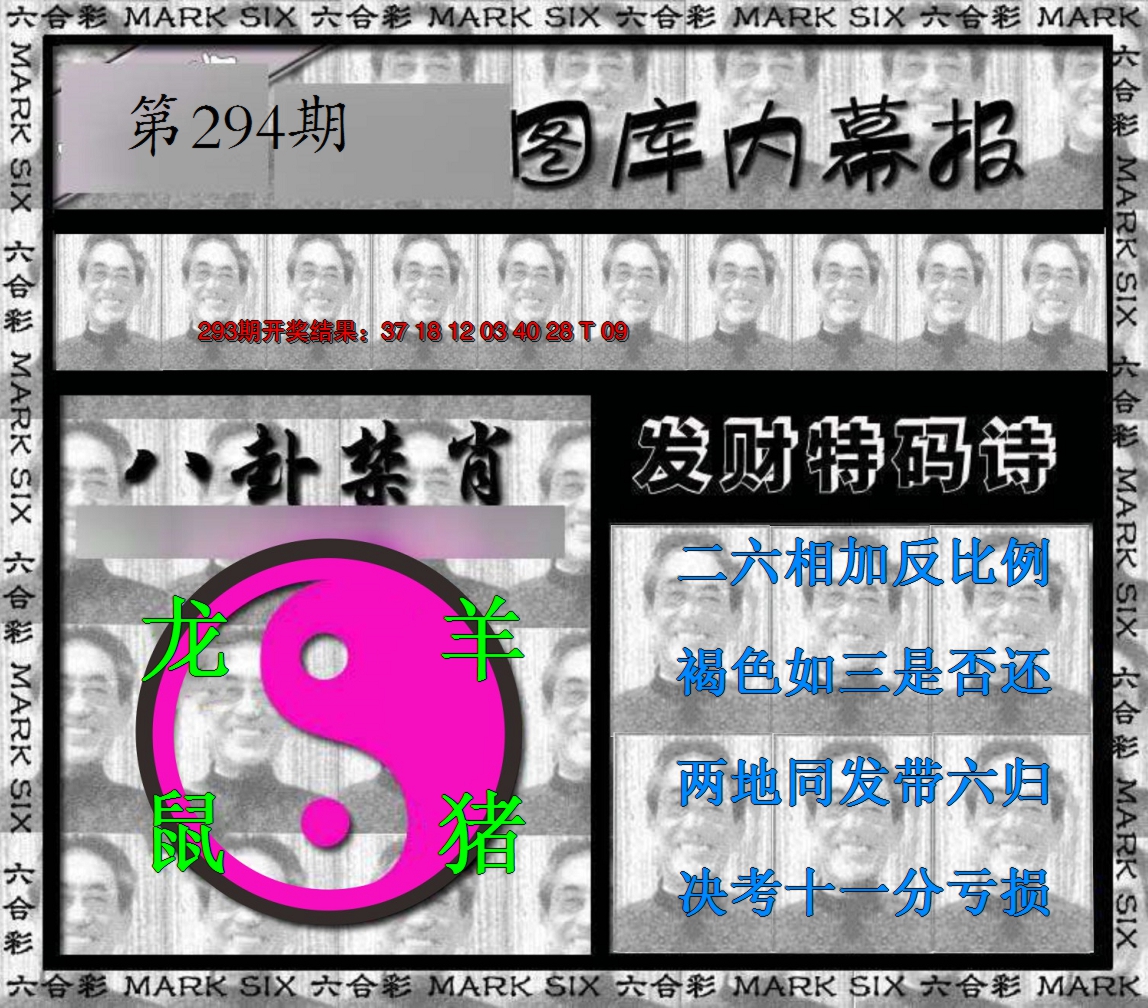 2024294期内幕报
