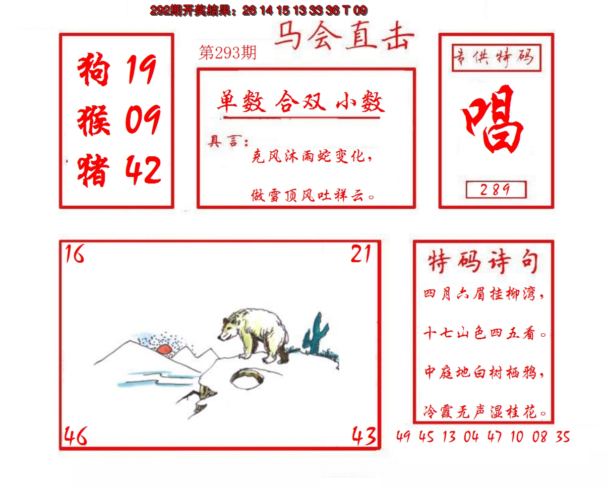 2024293期马会直击