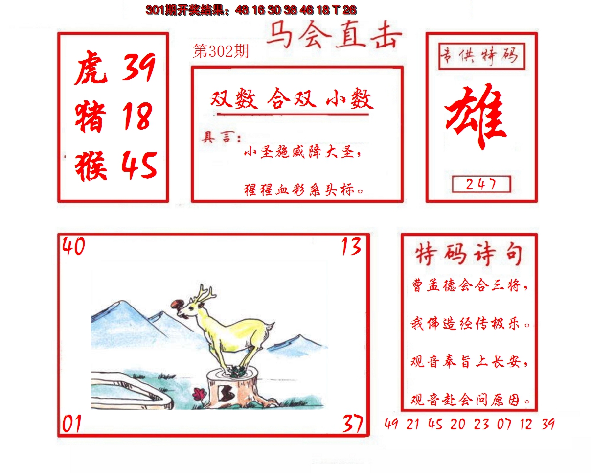 2024302期马会直击
