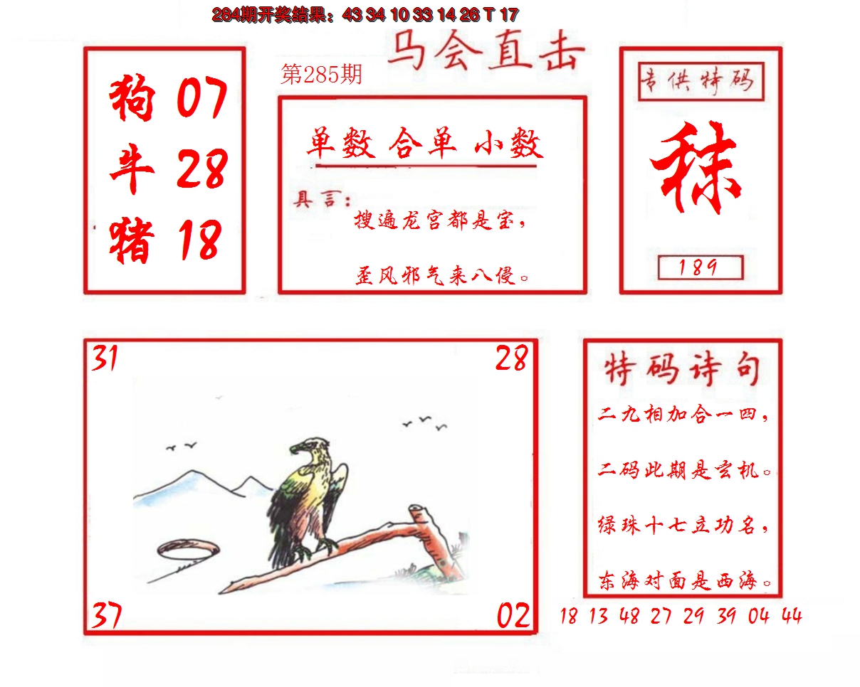 2024285期马会直击
