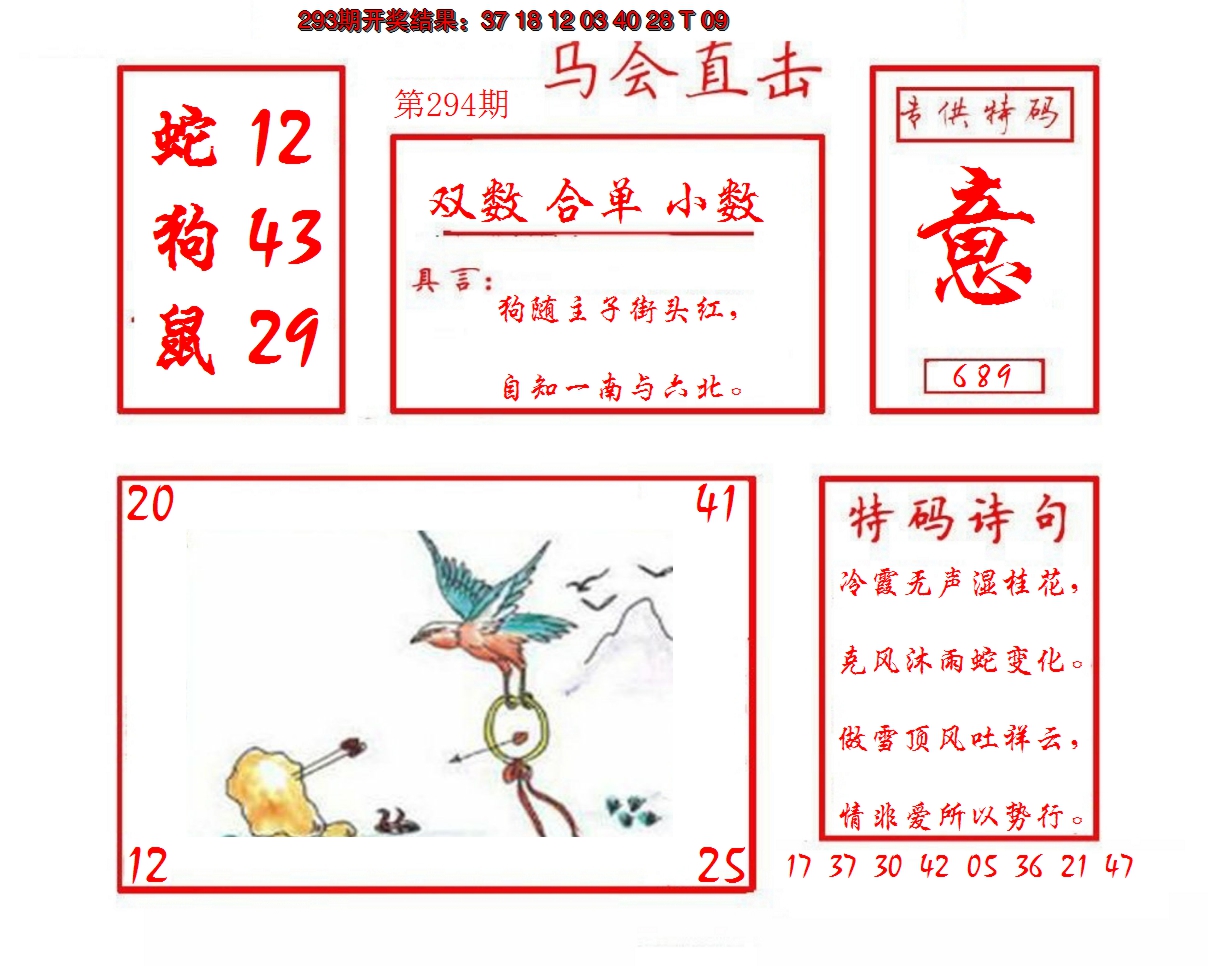 2024294期马会直击
