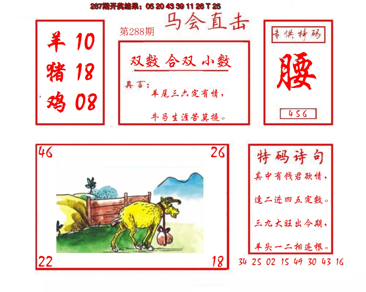 2024288期马会直击
