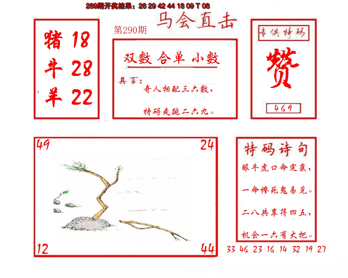 2024290期马会直击