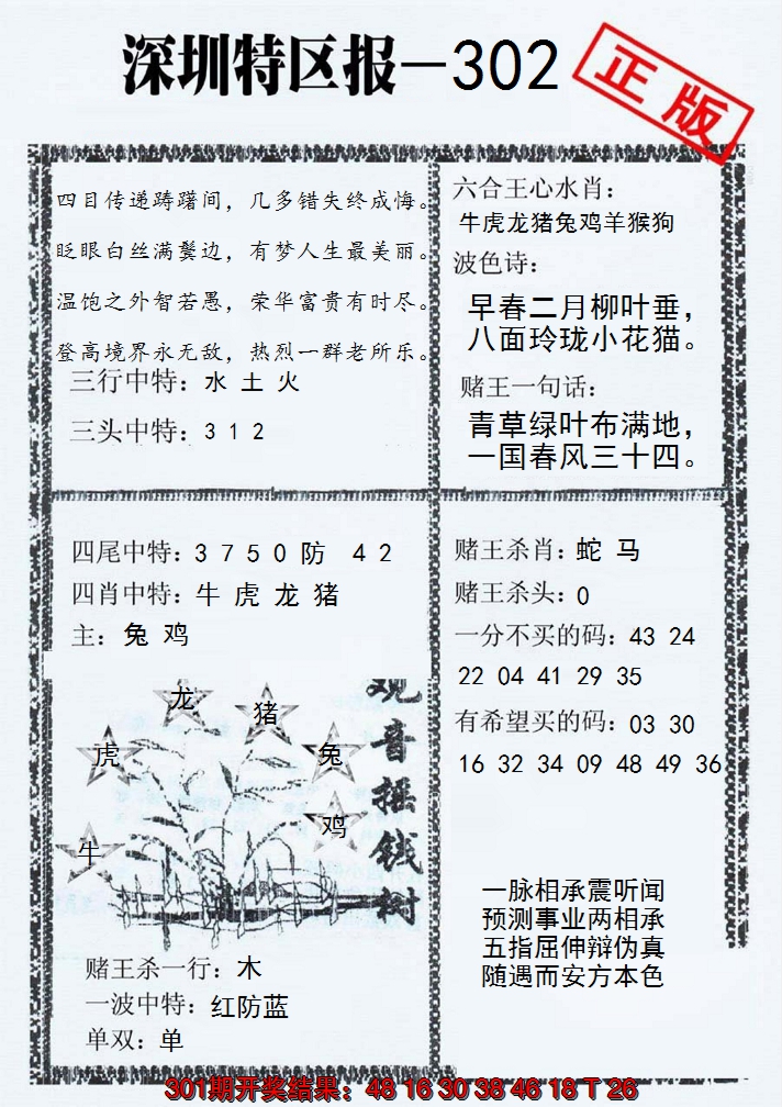 2024302期深圳特区报A