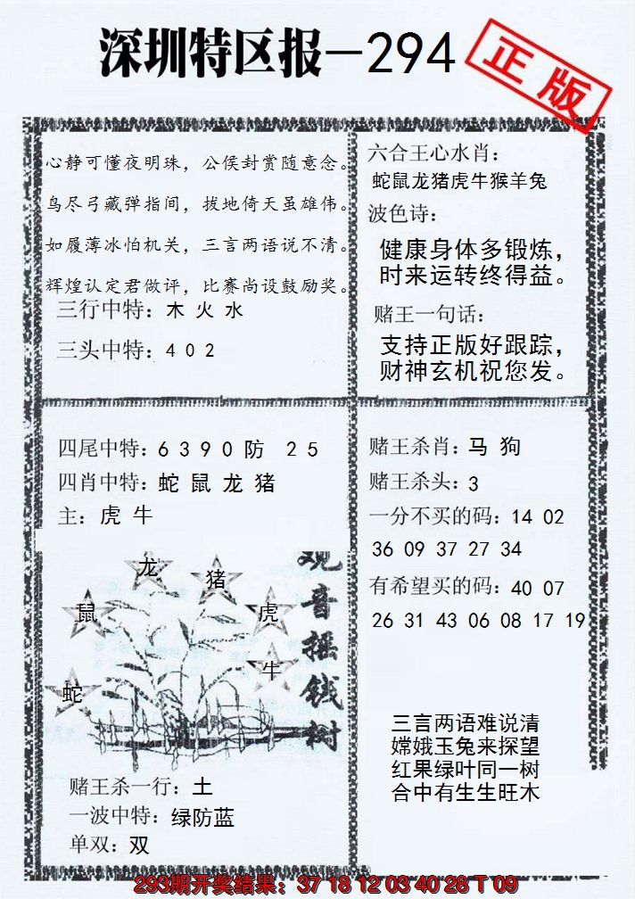 2024294期深圳特区报A