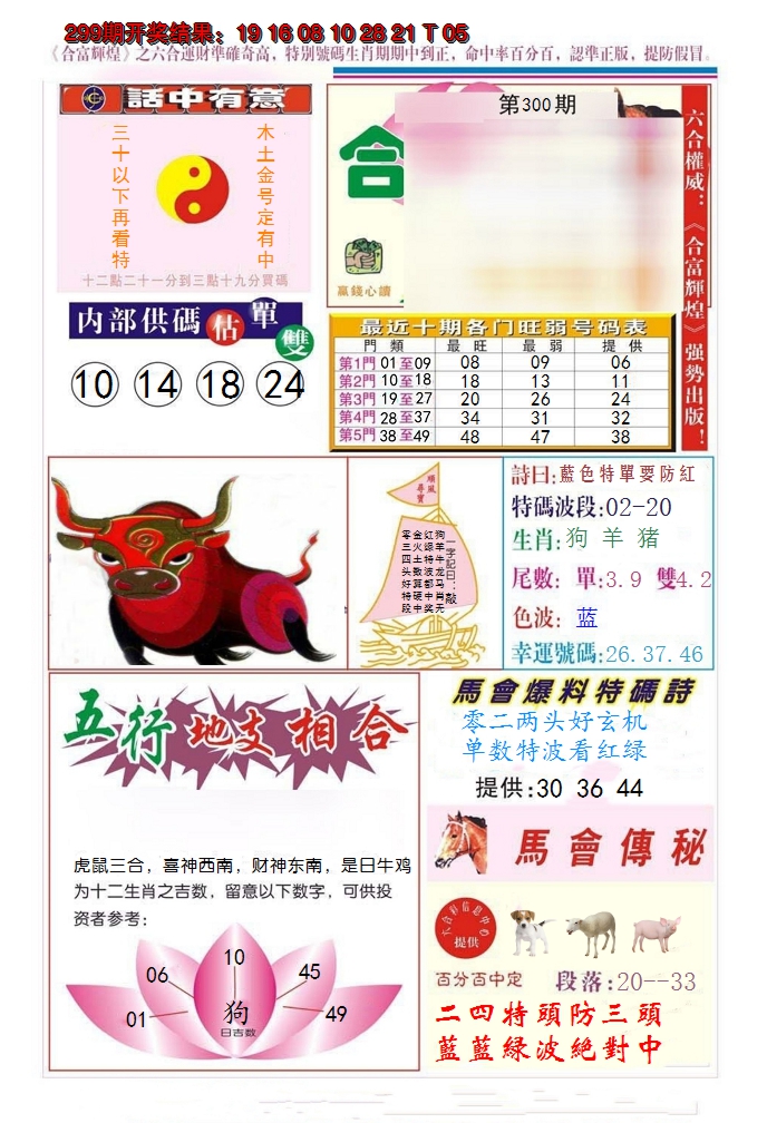 2024300期合富辉煌