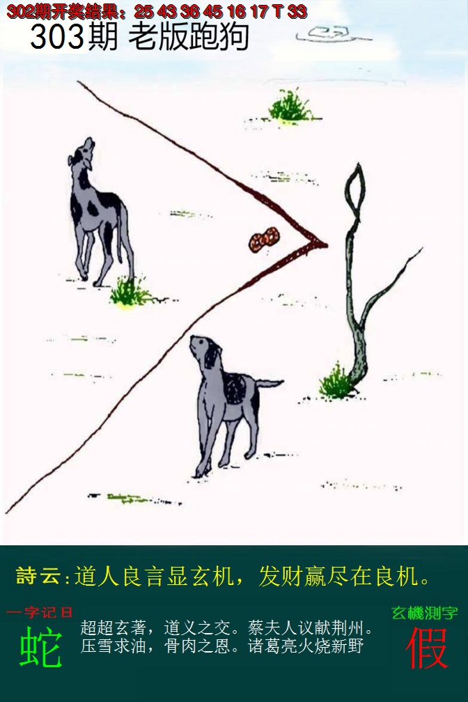 2024303期老版跑狗
