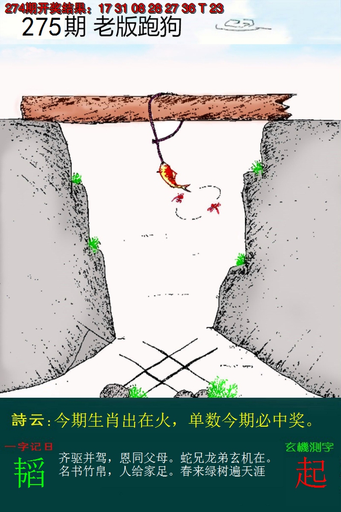 2024275期老版跑狗