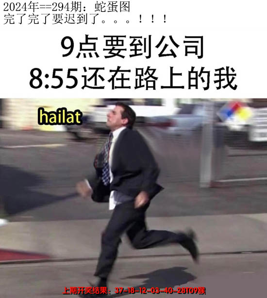 2024294期另版蛇蛋图