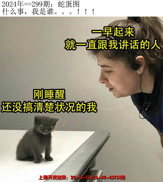 2024299期另版蛇蛋图
