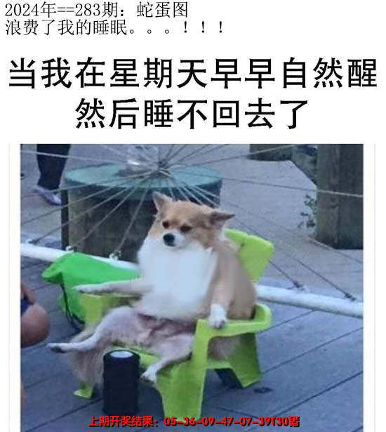 2024283期另版蛇蛋图