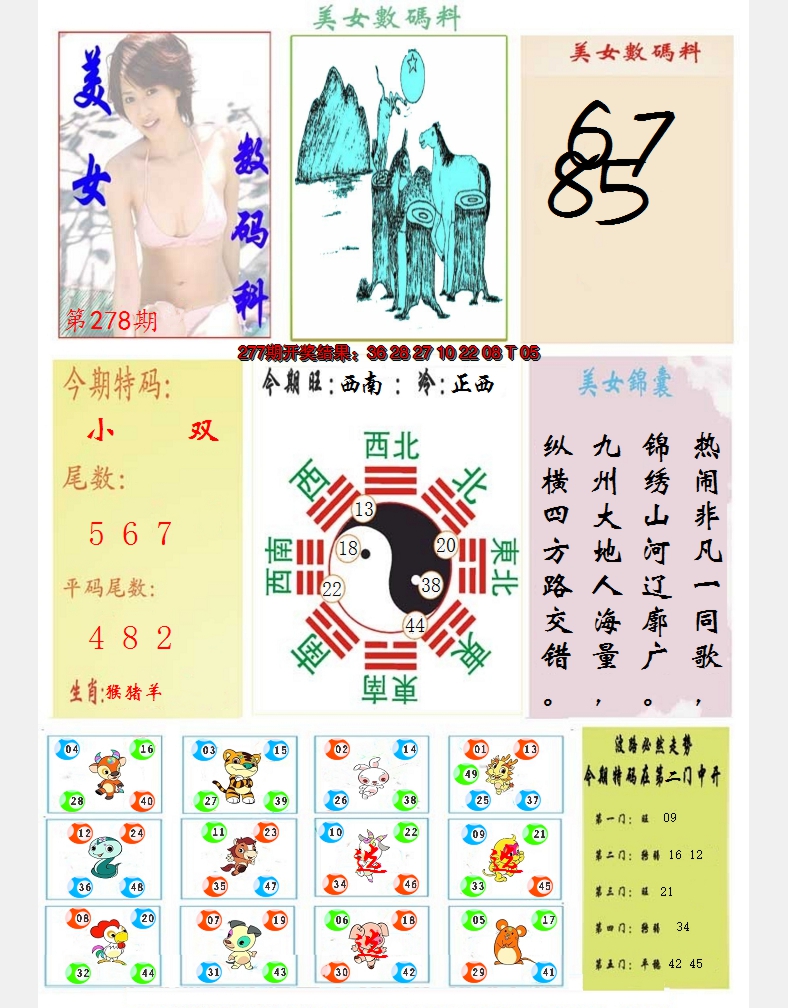 2024278期美女数码料