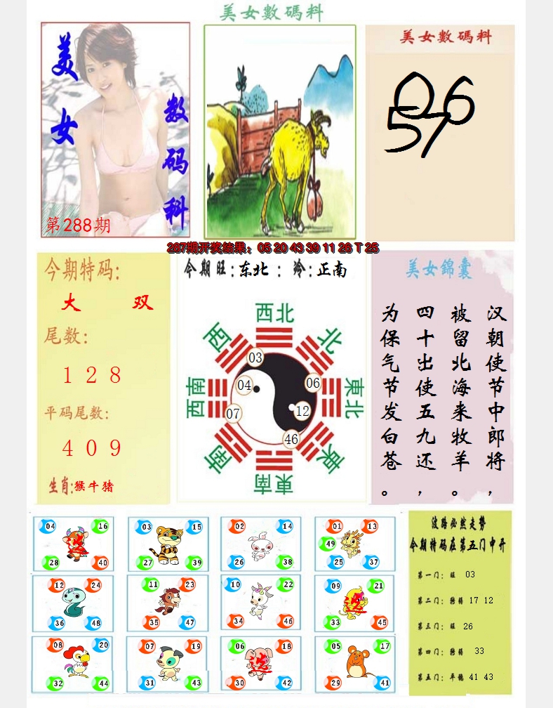 2024288期美女数码料