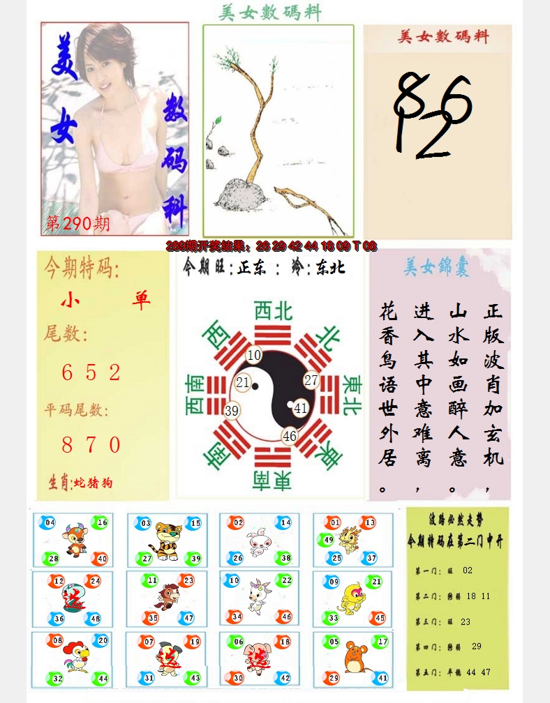 2024290期美女数码料