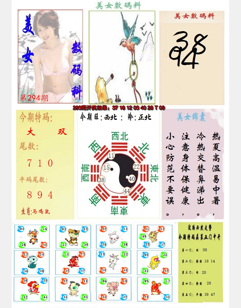 2024294期美女数码料
