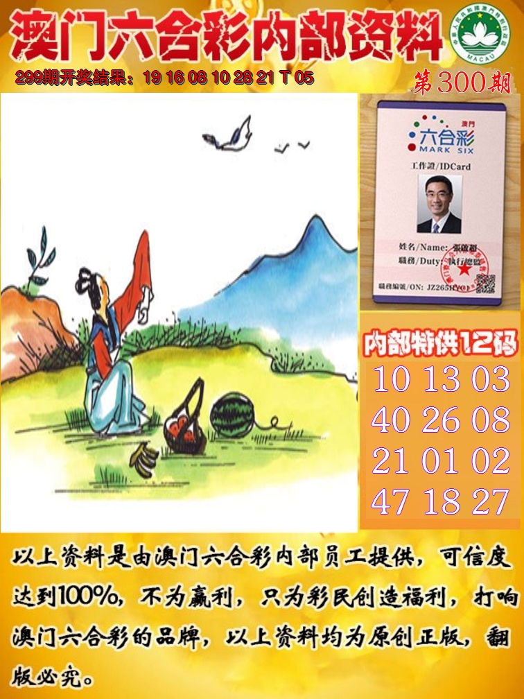 2024300期六合内部资料