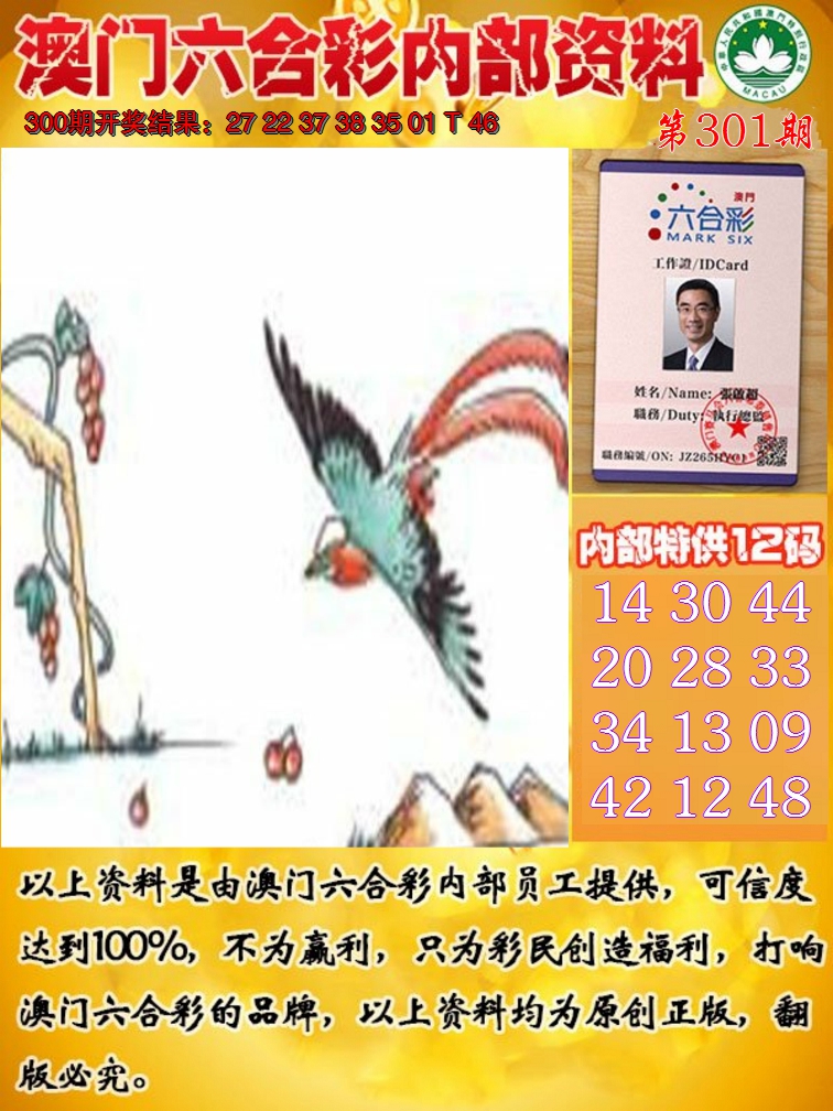 2024301期六合内部资料