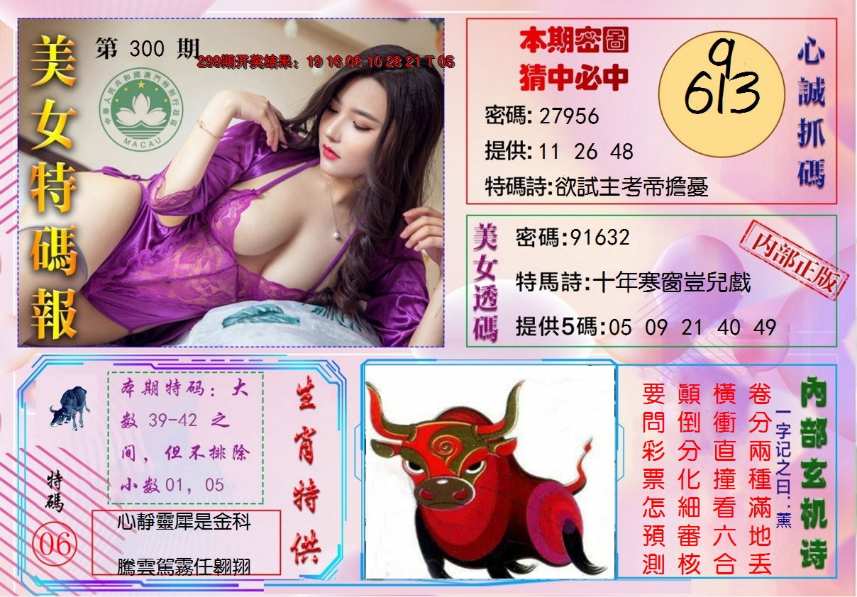 2024300期美女特码报