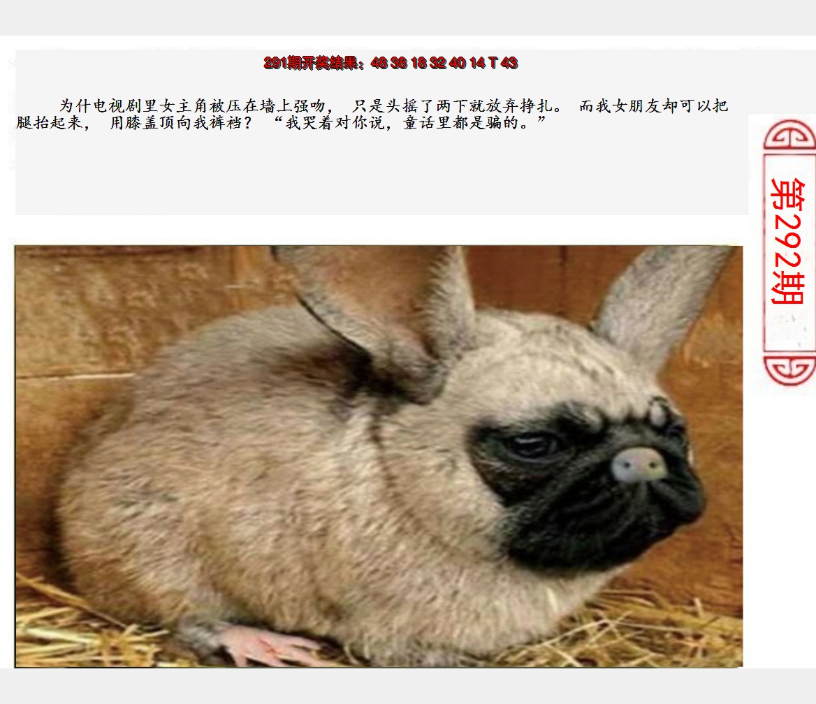 2024292期澳门生活幽默