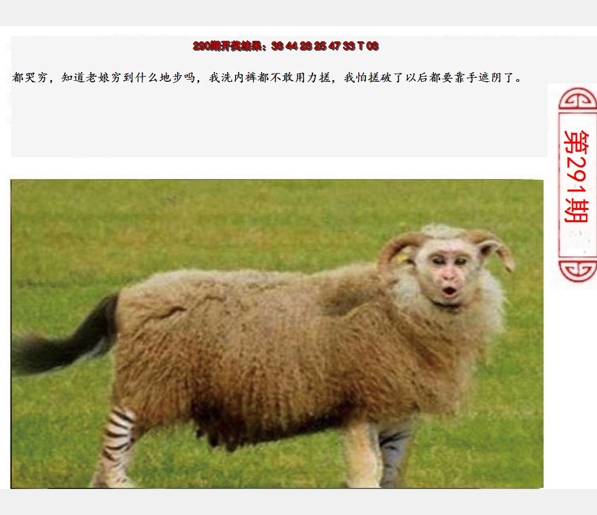 2024291期澳门生活幽默