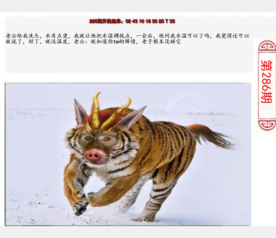 2024286期澳门生活幽默
