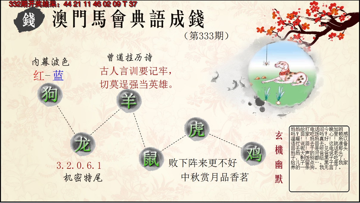 2024333期典语成钱