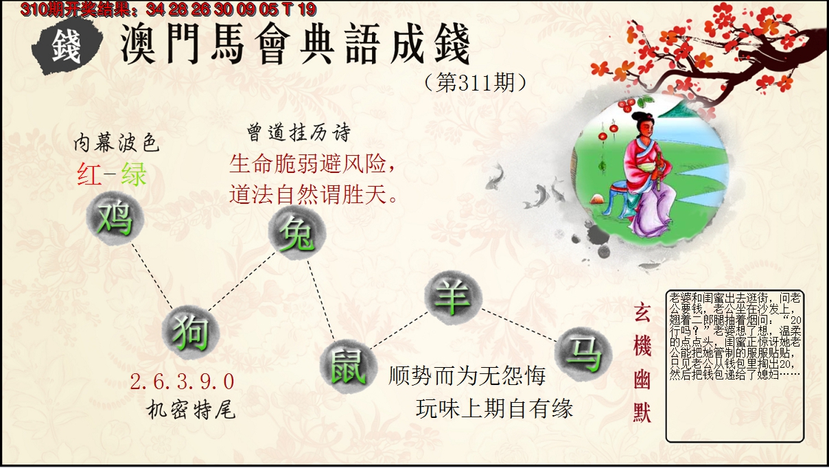 2024311期典语成钱