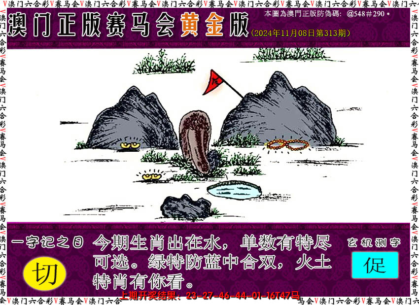 2024313期赛马会黄金版