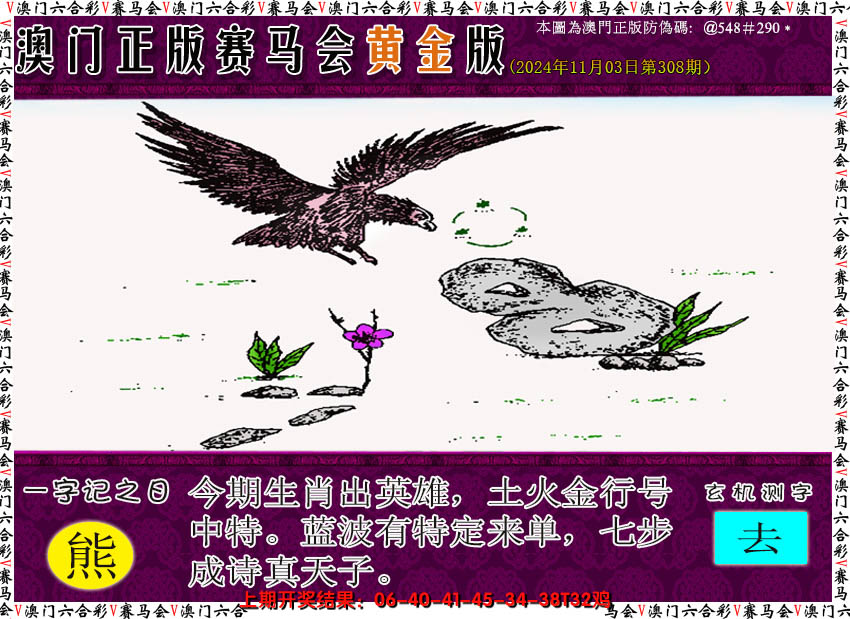 2024308期赛马会黄金版