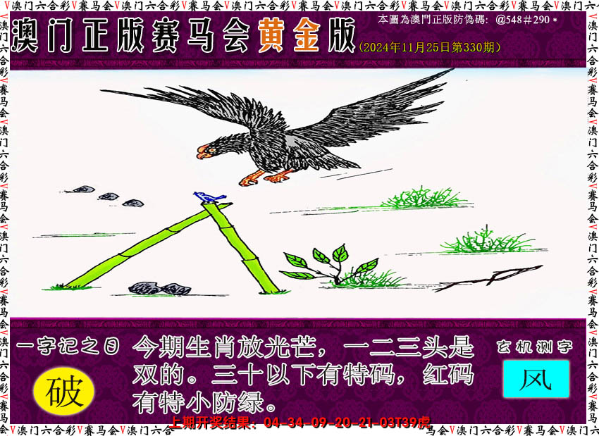 2024330期赛马会黄金版