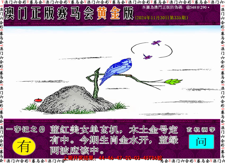 2024335期赛马会黄金版