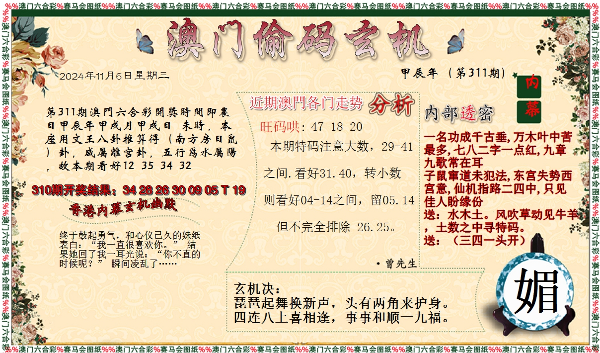 2024311期偷码玄机