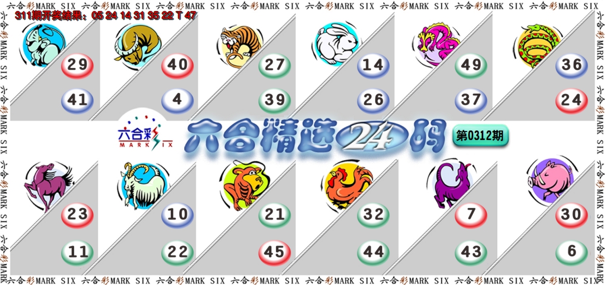 2024312期六合精选24码