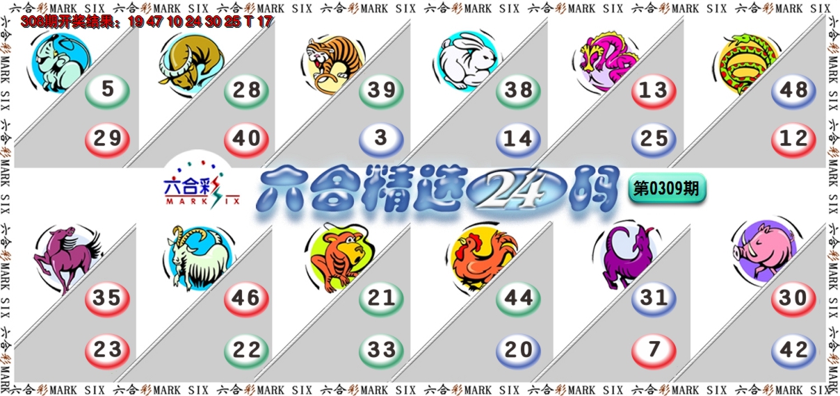 2024309期六合精选24码